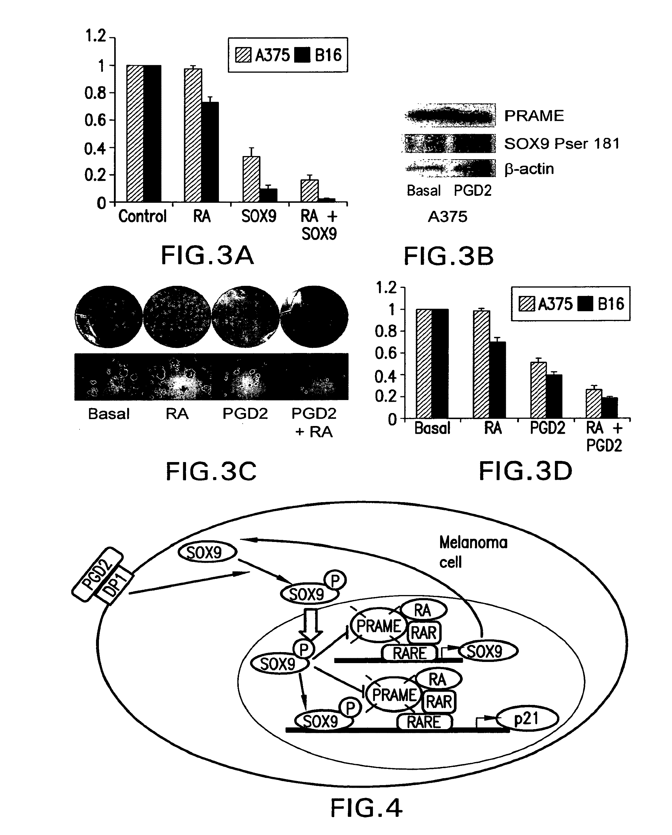 Compositions and methods for treating pigmentary conditions and melanoma