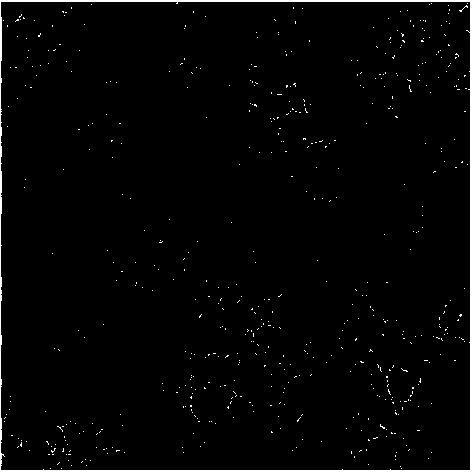 A Porous ZrO2 Mesoscopic Crystal with Large Specific Surface