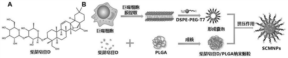 A kind of anti-breast cancer nano drug and preparation method thereof