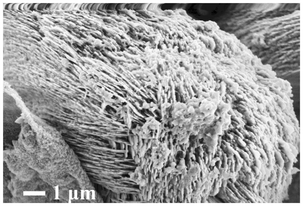 A kind of effective method of refractory phosphorus