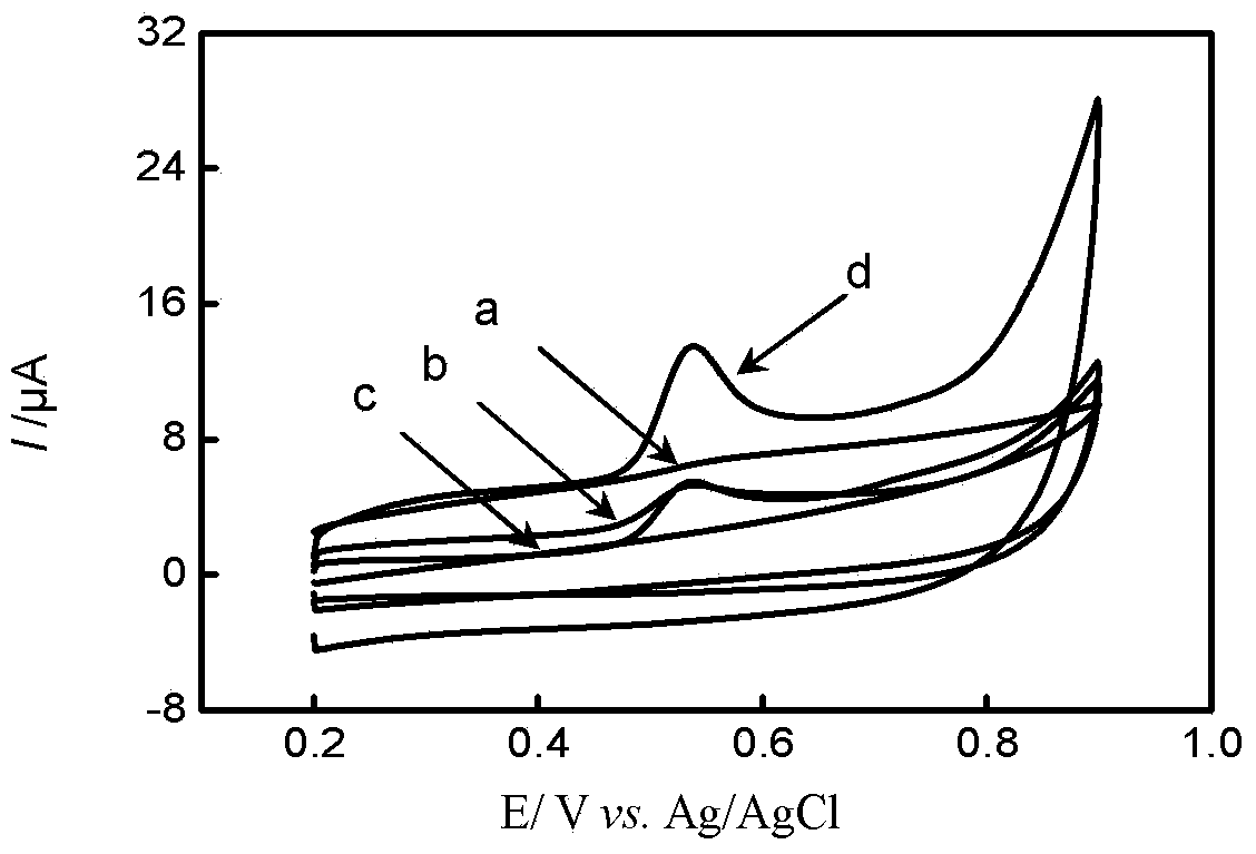 Electrochemical sensor for detecting bisphenol A, preparation method and application thereof