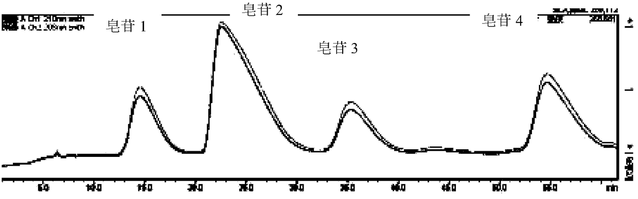 Method for separating and purifying Impatiens pritzellii var. hupehensis triterpenoid saponin monomers by using dynamic axial compression column