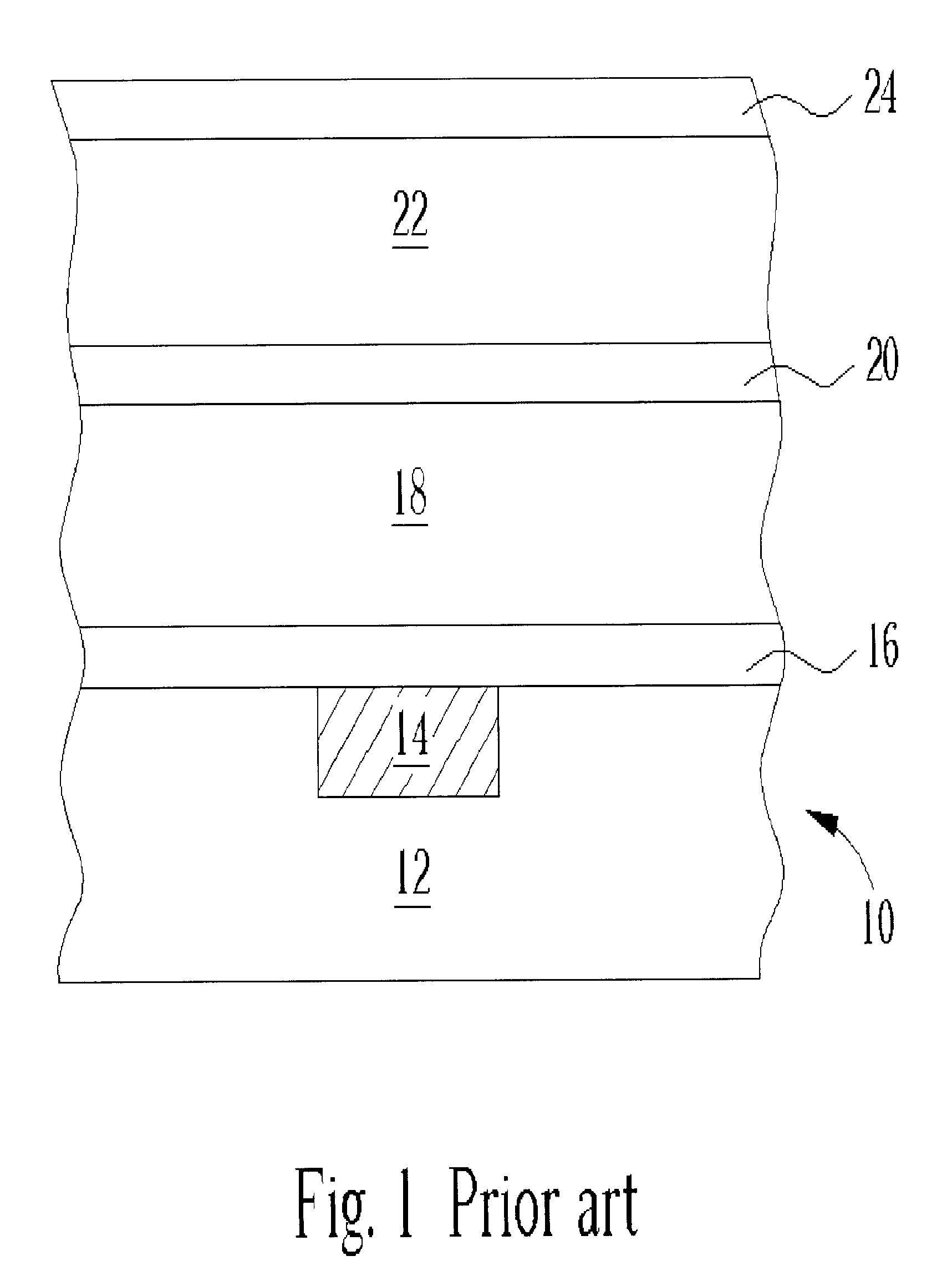 Method of fabricating a dual damascene copper wire