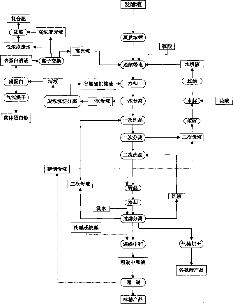 Production process of glutamic acid and monosodium glutamate