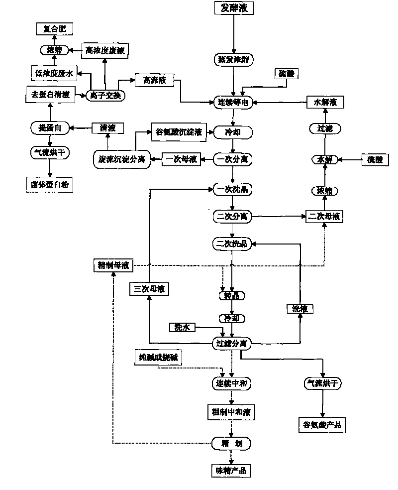 Production process of glutamic acid and monosodium glutamate
