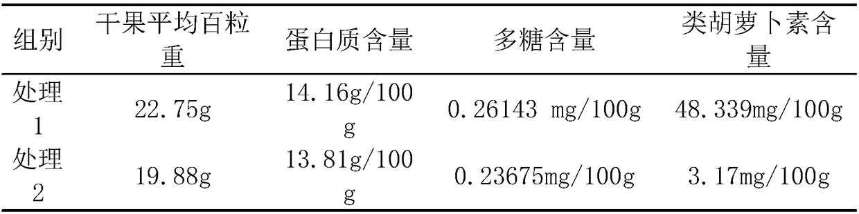 Wolfberry drip irrigation cultivation method achieving double-layer cross straw covering