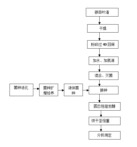 Method for producing protein feed through mixed strain solid-state fermentation of ginkgo leaf residue