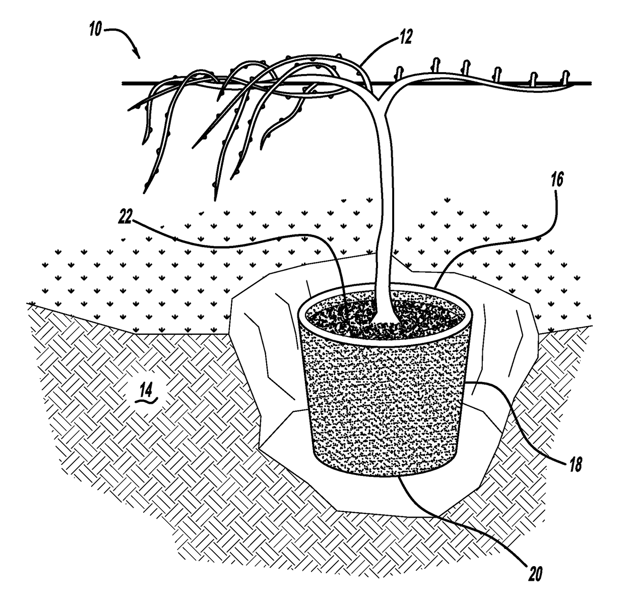 Method of growing grapevines