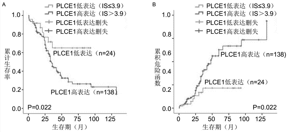 Kit for detecting prognosis of patients with esophageal squamous cell carcinoma in Xinjiang region