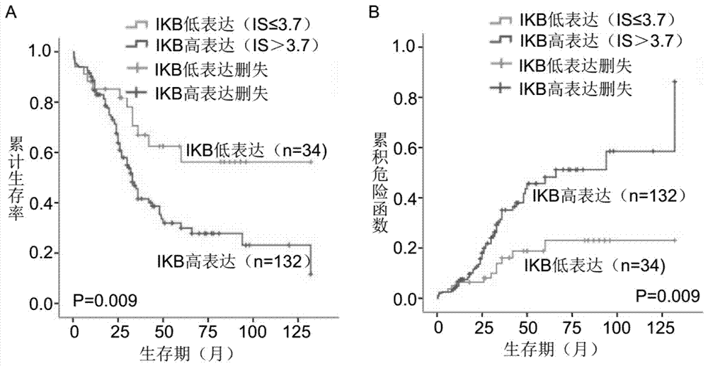 Kit for detecting prognosis of patients with esophageal squamous cell carcinoma in Xinjiang region