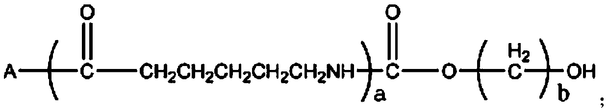 Biology-base degradable polyamide 6 copolymer and preparation method thereof