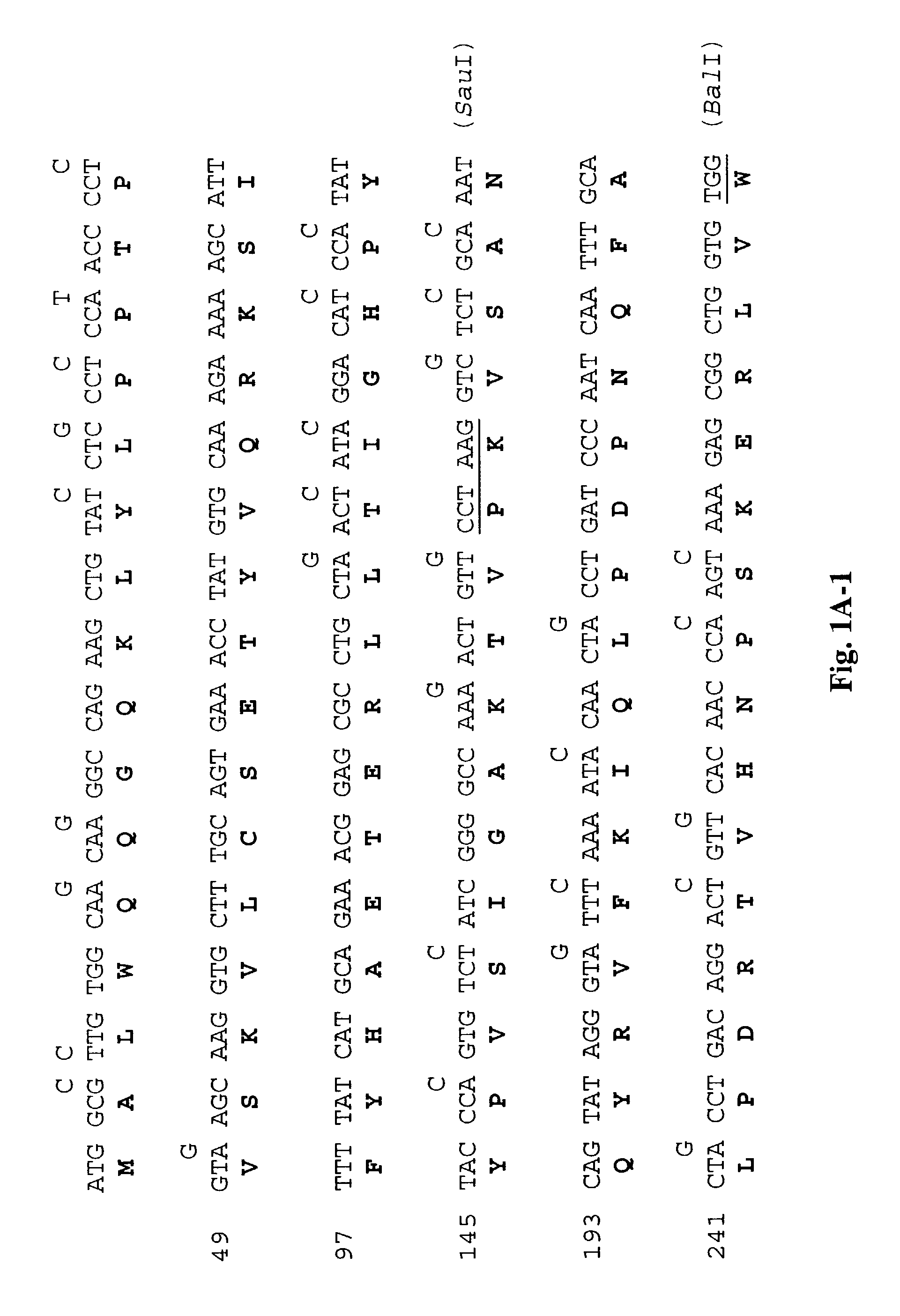 Method of constructing a synthetic polynucleotide