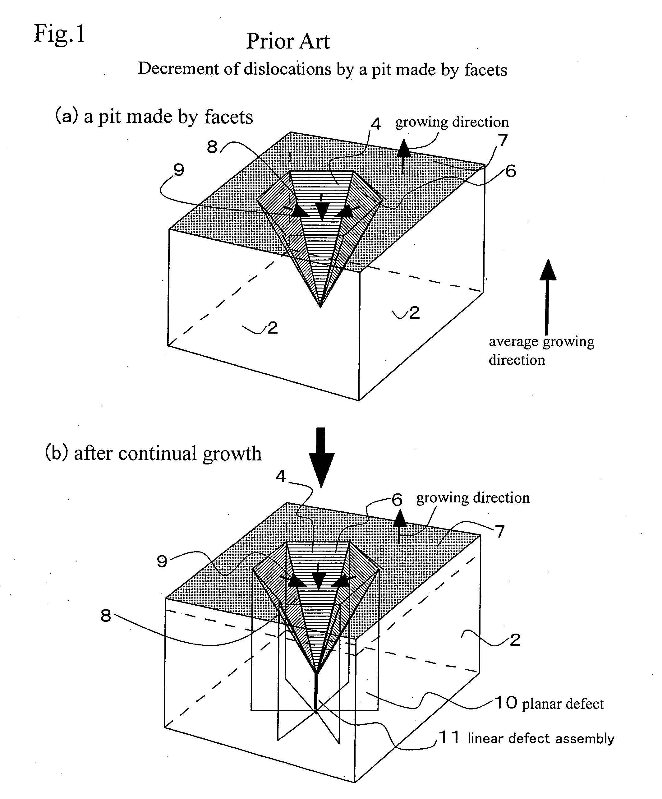 Single crystal GaN substrate, method of growing single crystal GaN and method of producing single crystal GaN substrate