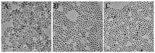 Colored-light waterborne functional paint applicable to indoor entertainment as well as preparation method and application thereof