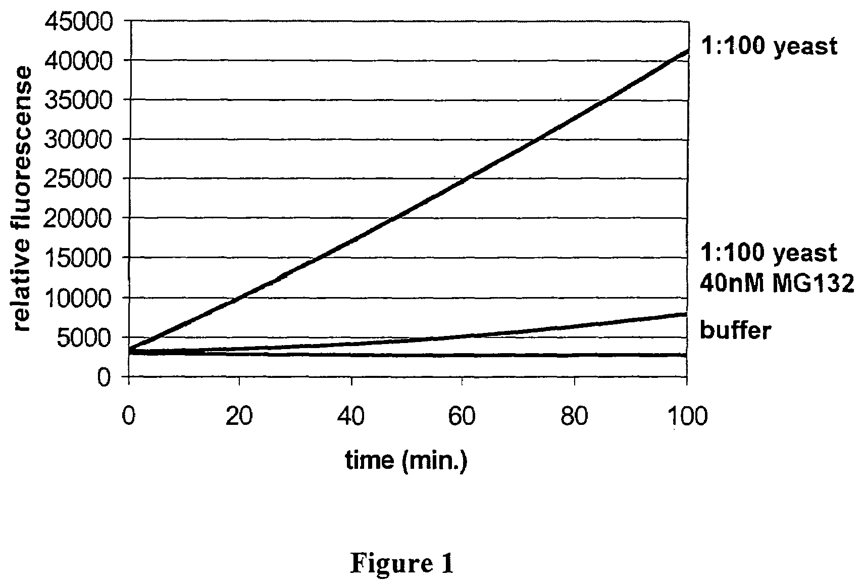 Methods for identifying inhibitors of the 20S and 26S proteasome