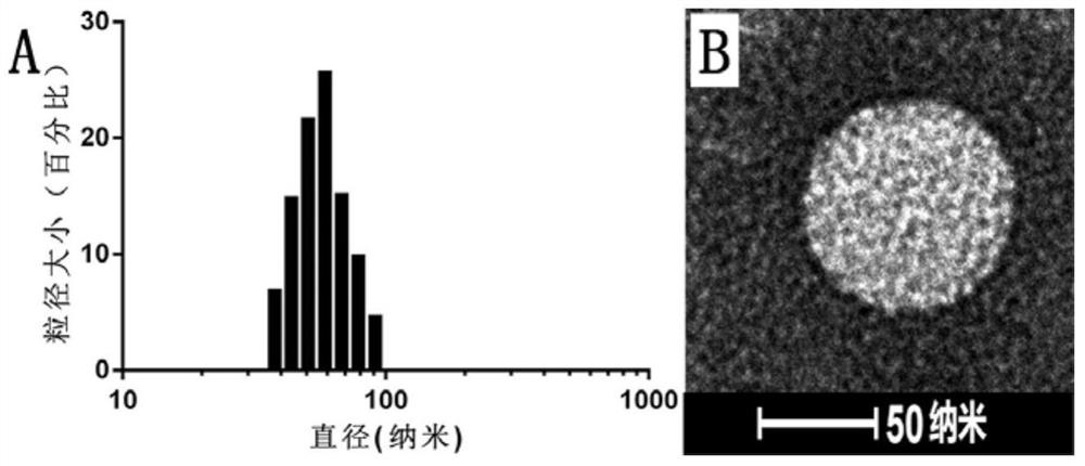 Light-controlled temperature-sensitive liposome and its preparation method and application