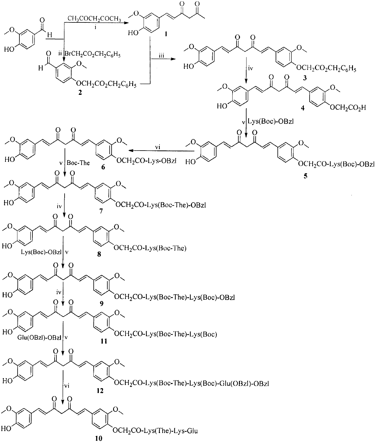 Lys-glu modified curcumin, its preparation, biological activity and application