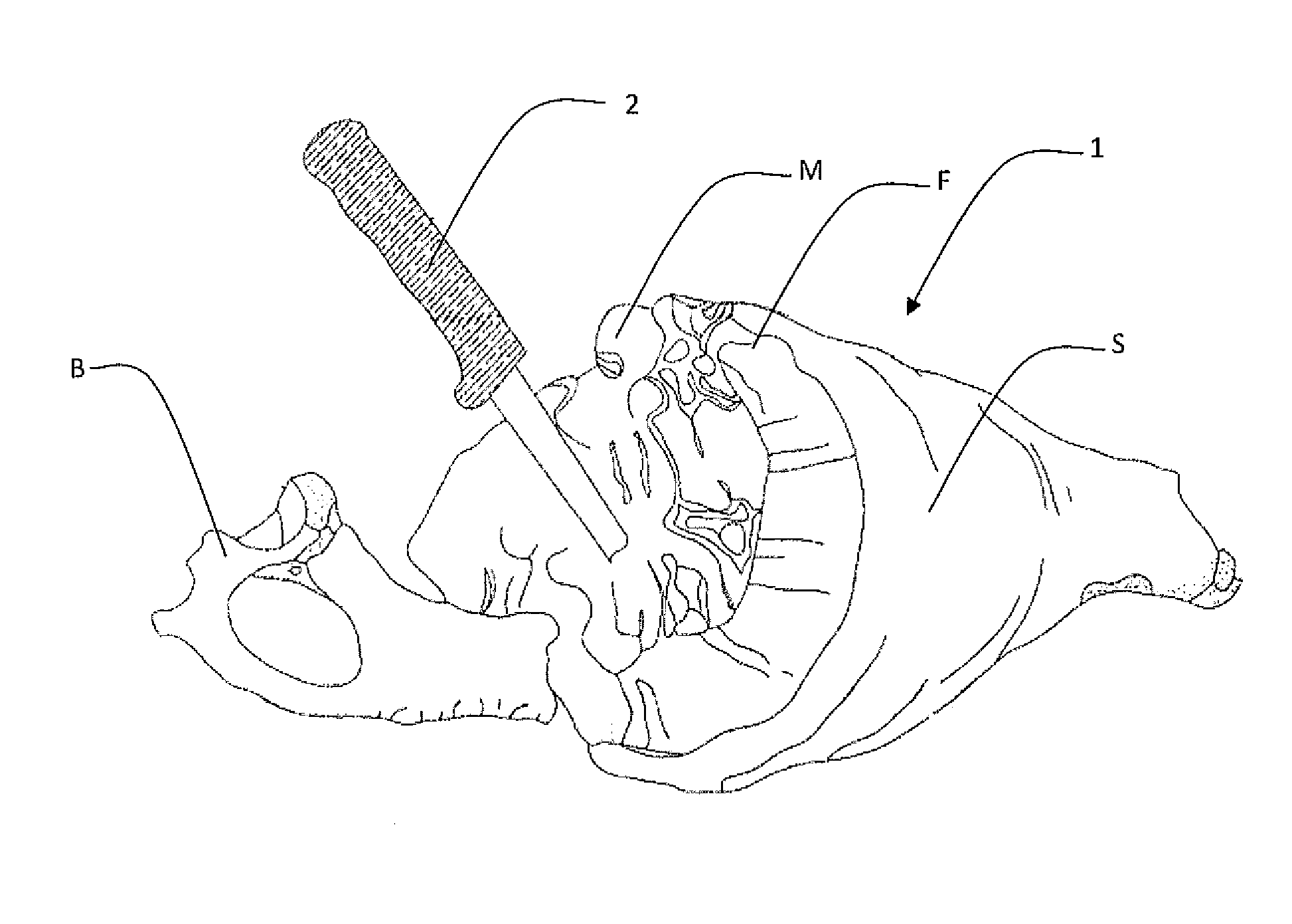 Process for making pork chops