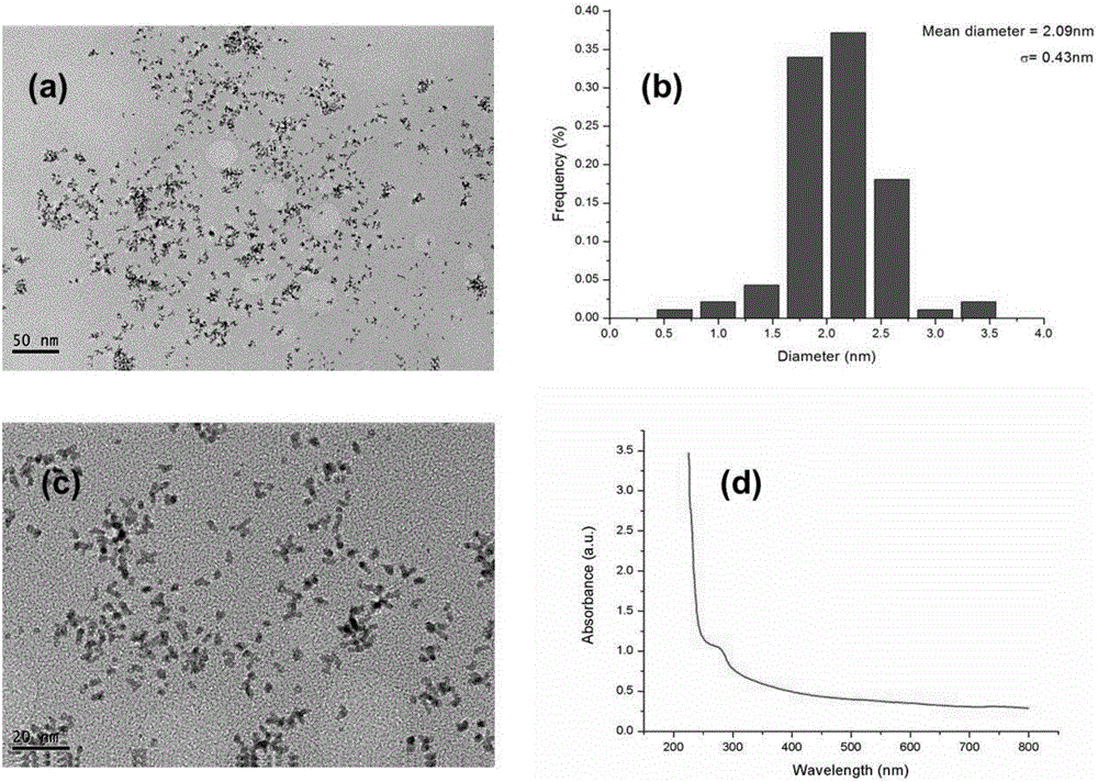 CT contrast agent based on nano Pt@BSA biomimetic material and preparation method and application of CT contrast agent