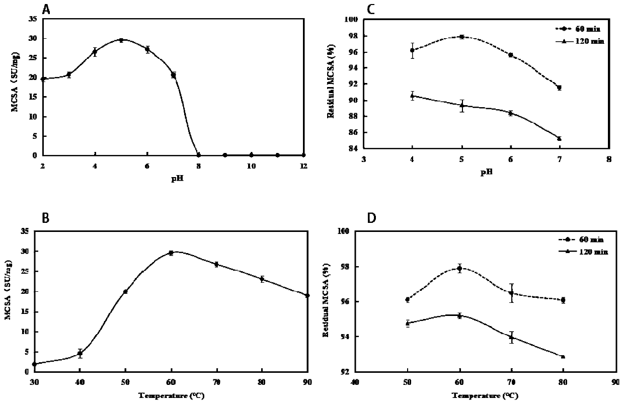 Moringa seed protease capable of promoting goat milk solidification and polypeptide prepared from moringa seed protease and application