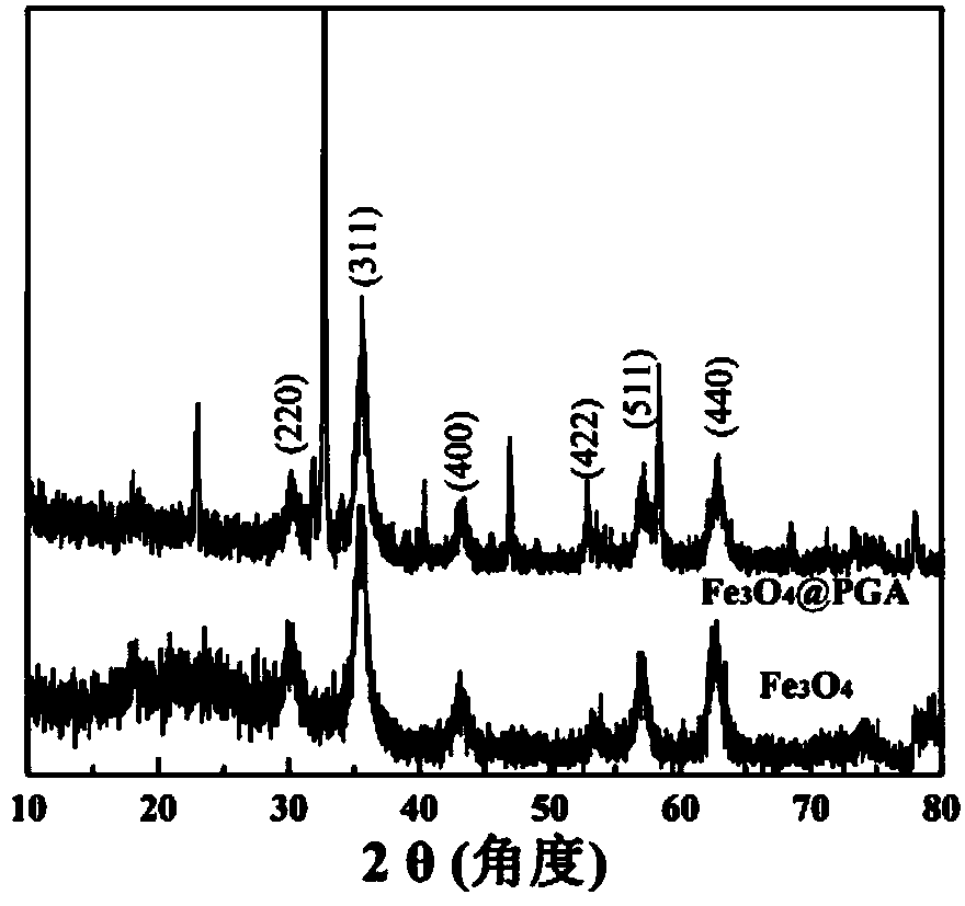 Method for detecting trivalent chromic ions by using gamma-polyglutamic acid stabilized triiron tetraoxide nano grains