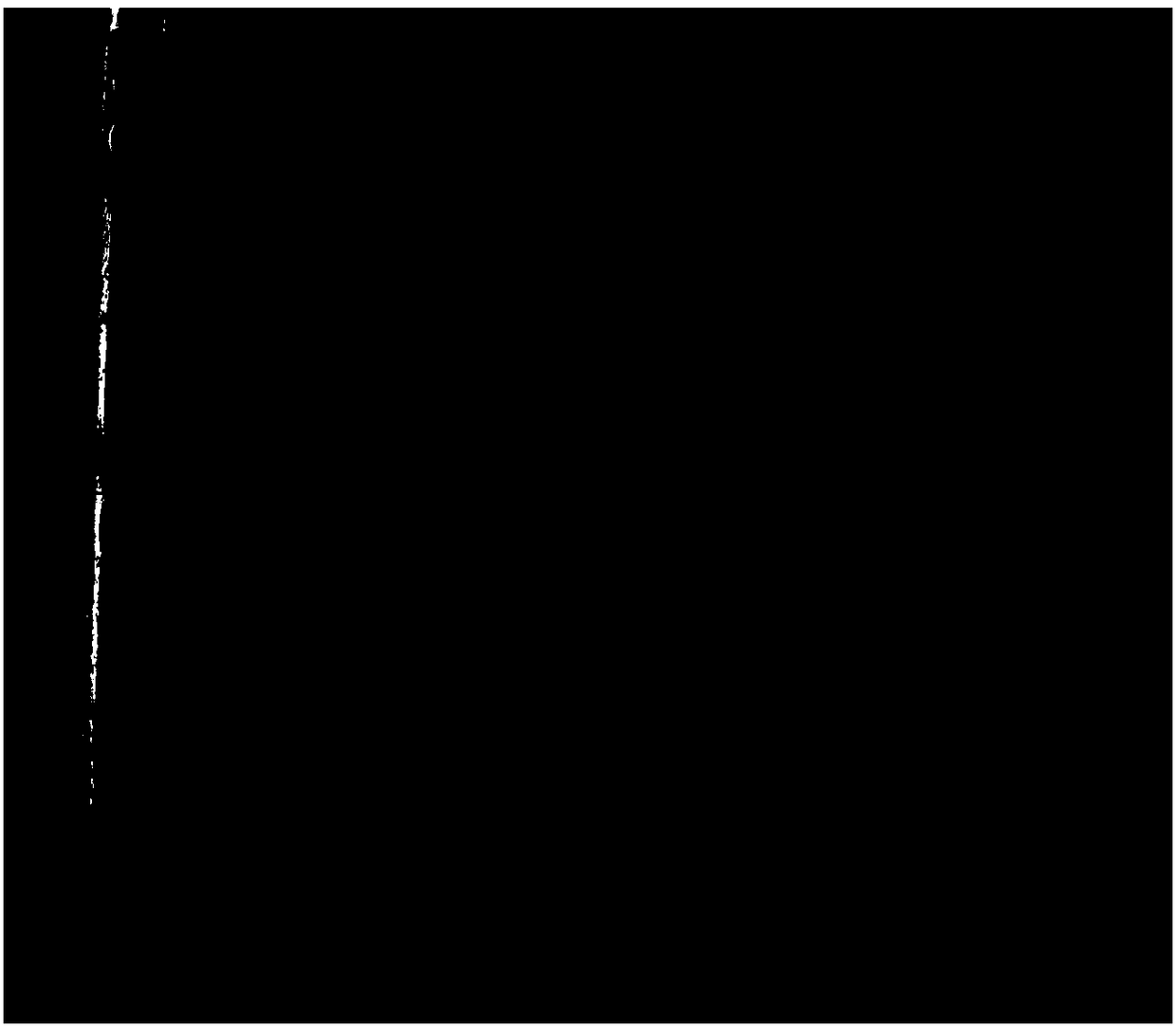 Method for realizing distant hybridization of vigna angularis and vigna umbellata by utilizing vigna riukiuensis as bridge parent