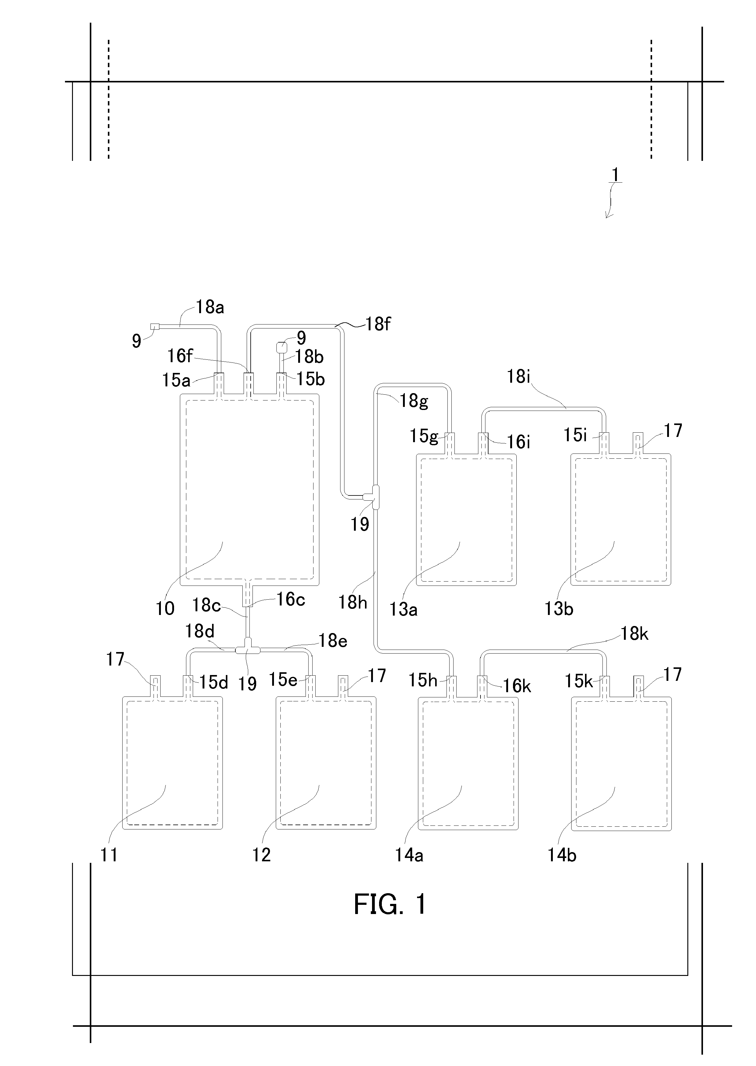 Method for controlling proliferation of cord blood hematopoietic stem cells and use thereof