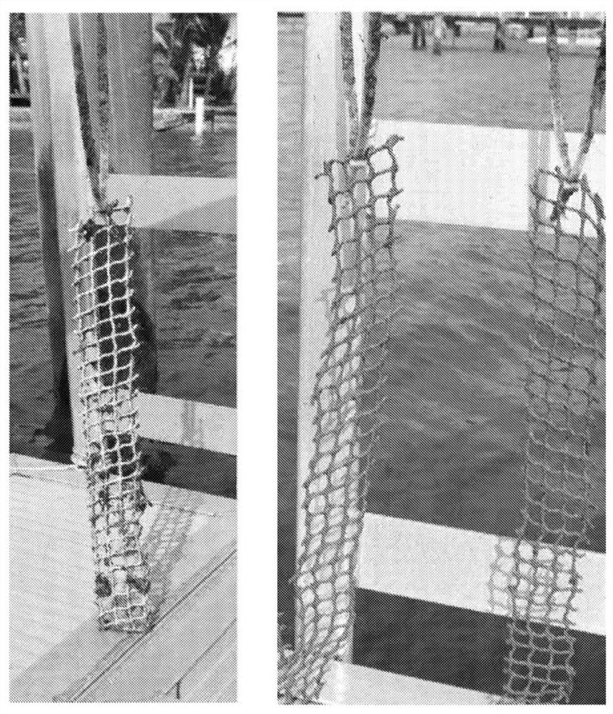 Method and composition for treatment of nets for aquaculture