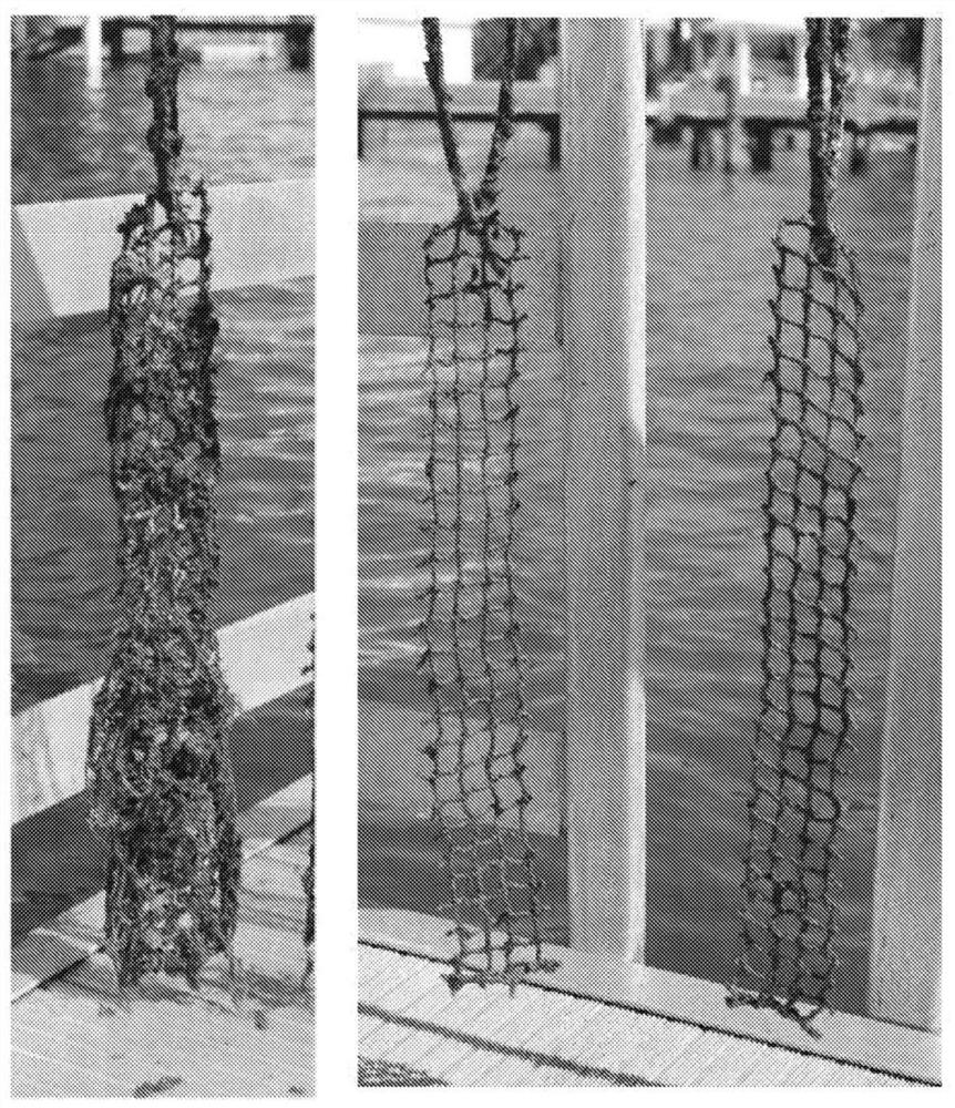 Method and composition for treatment of nets for aquaculture