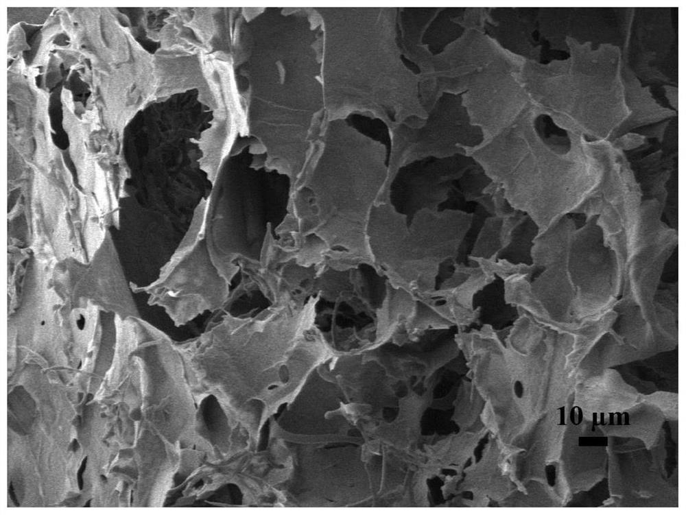 Preparation method of hydrogel with g-quadruplex structure and its application in killing Staphylococcus aureus and Escherichia coli