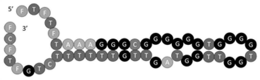 Nucleoside derivative modified aptamer R50