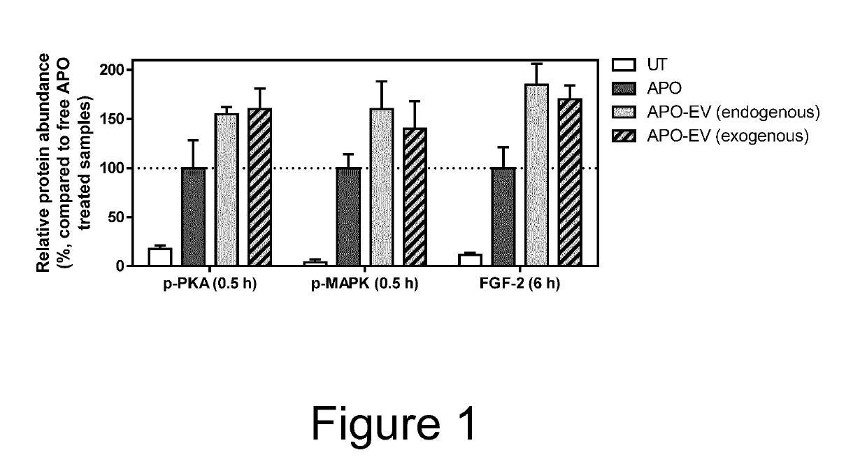 Ev-mediated delivery of binding protein-small molecule conjugates