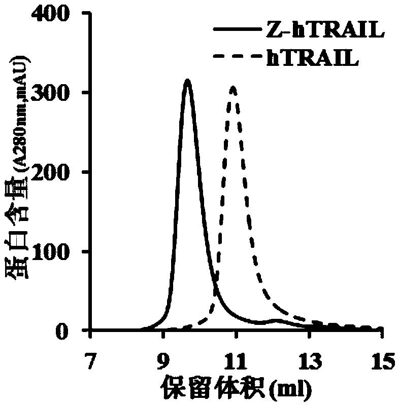 PDGFR beta targeted TRAIL (TNF-related apoptosis-inducing ligand) variant as well as preparation method and application thereof