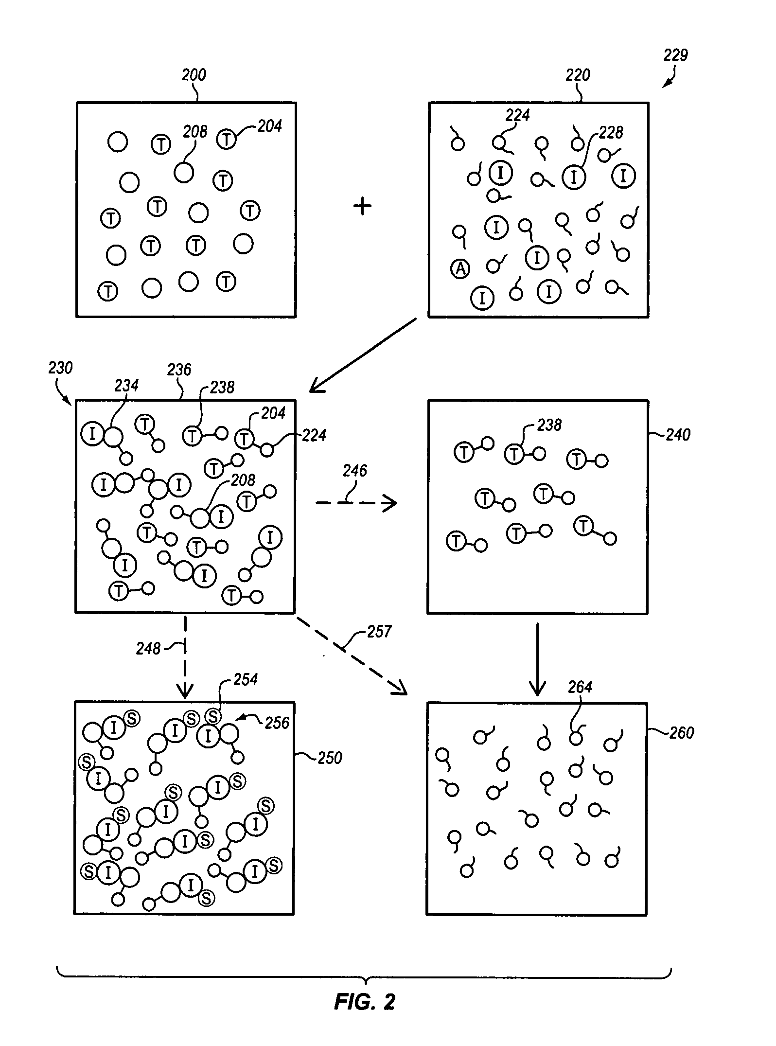 Method and apparatus for enhanced bacteriophage-based diagnostic assays by selective inhibition of potential cross-reactive organisms
