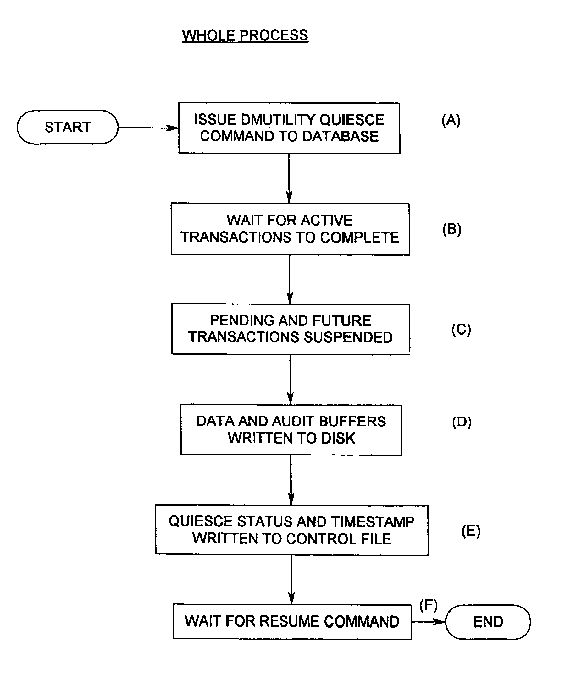 Method of capturing a physically consistent mirrored snapshot of an online database