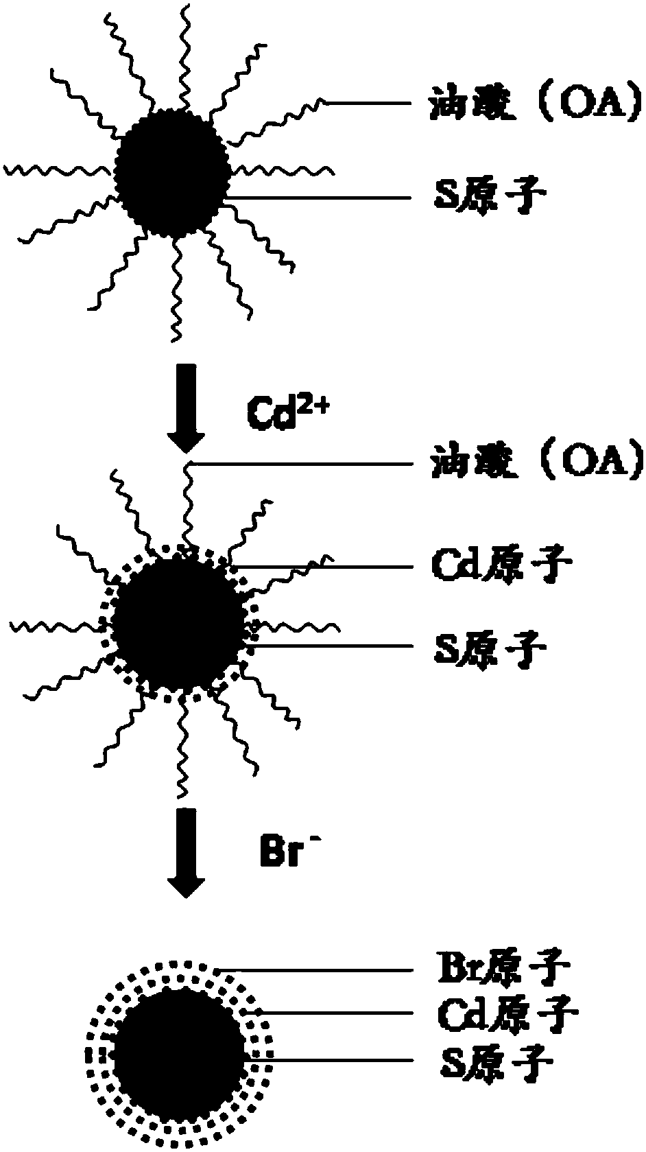 Passivation quantum dot film and preparation method thereof