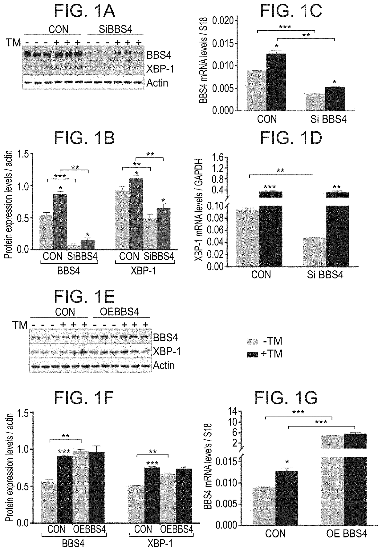 Methods of treating diseases associated with cells exhibiting er stress or with neural tissue damage