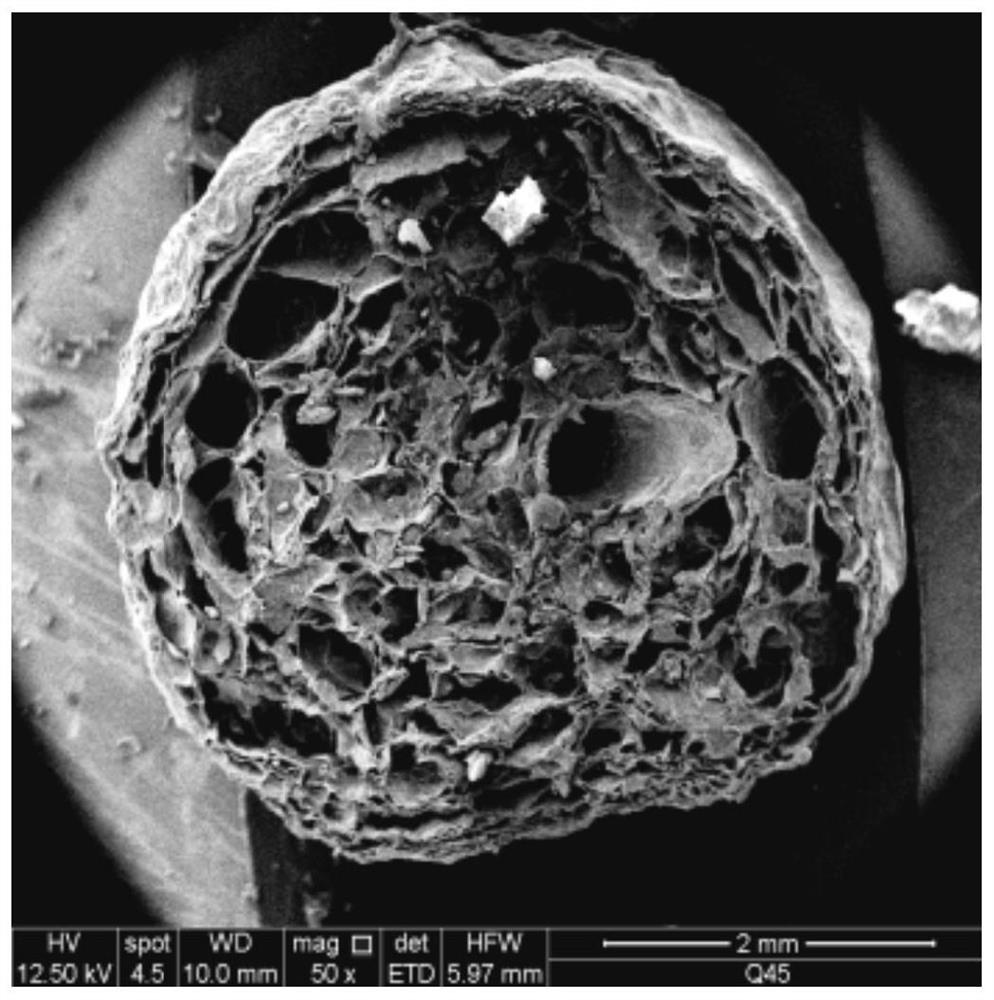 A kind of double-loaded core-shell hydrogel and its preparation method and application