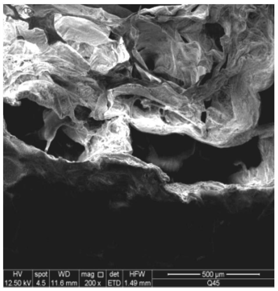 A kind of double-loaded core-shell hydrogel and its preparation method and application