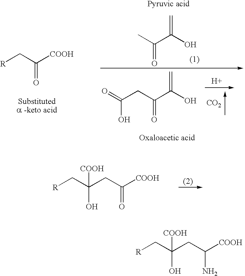 Novel aldolase and production process of substituted alpha-keto acids