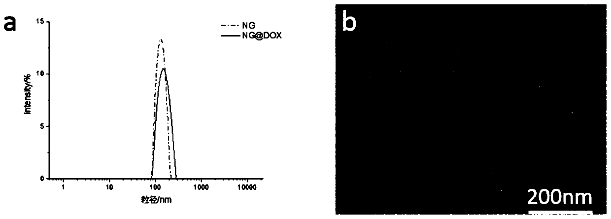 Glucan-based nanogel and preparation method and application thereof