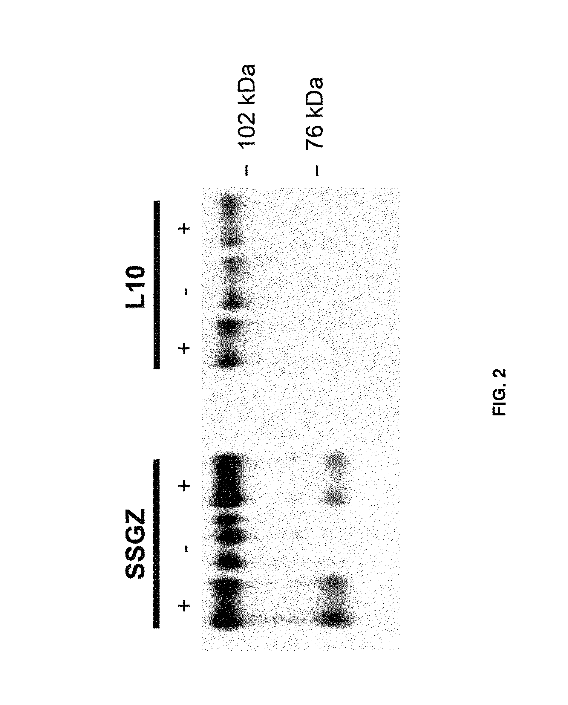 Reagents, methods, and kits for the classification of cancer