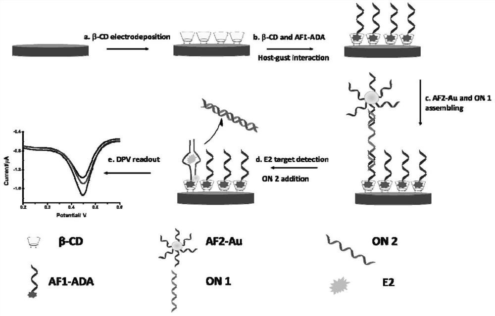 Electrochemical sensor for detecting 17 beta-estradiol as well as preparation and use methods thereof