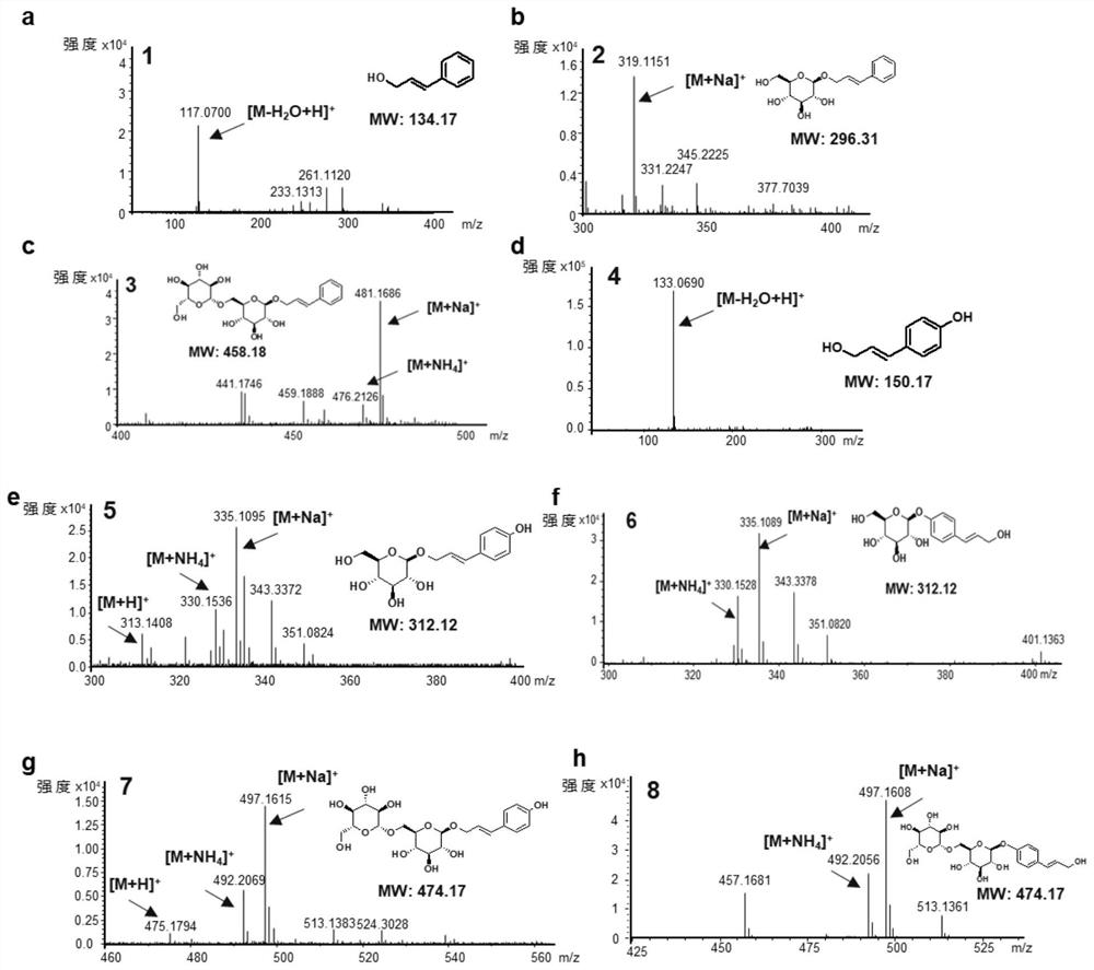 Traneverine analogue, genetically engineered bacterium for producing same and application of genetically engineered bacterium