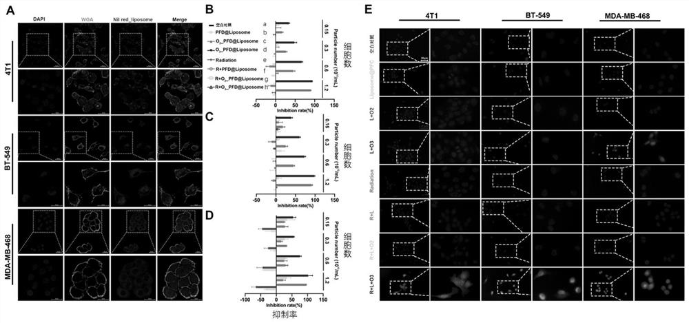 A delivery system, preparation method and application based on nanoliposome