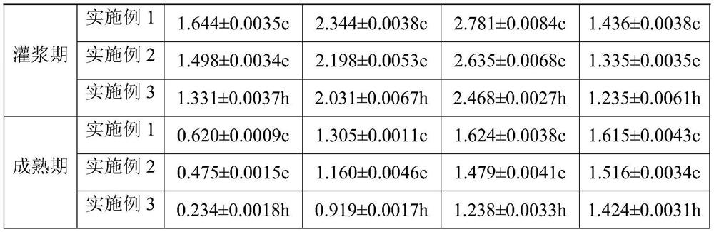 A cultivation method for mechanical seeding and improving lodging resistance of tartary buckwheat