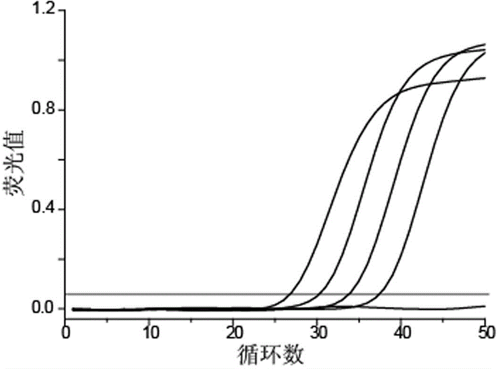 High selectivity gene mutation detection method, high selectivity gene mutation detection primer and primer design method