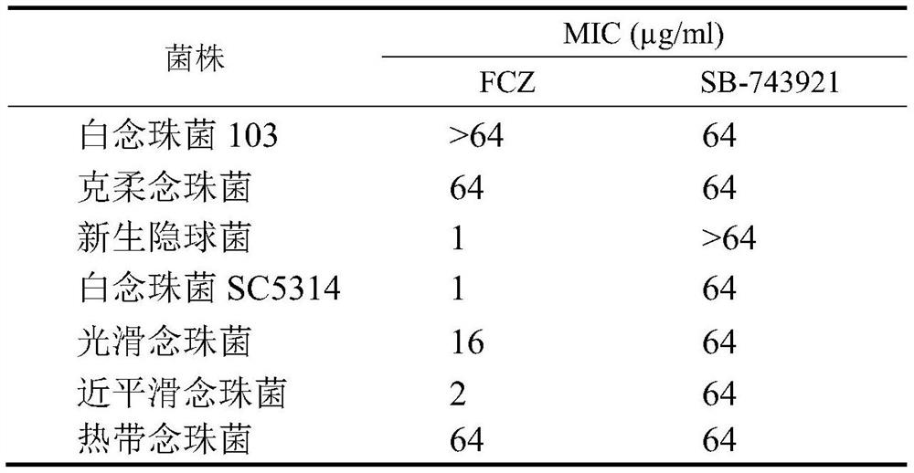 Use of sb-743921 for the preparation of antifungal drugs