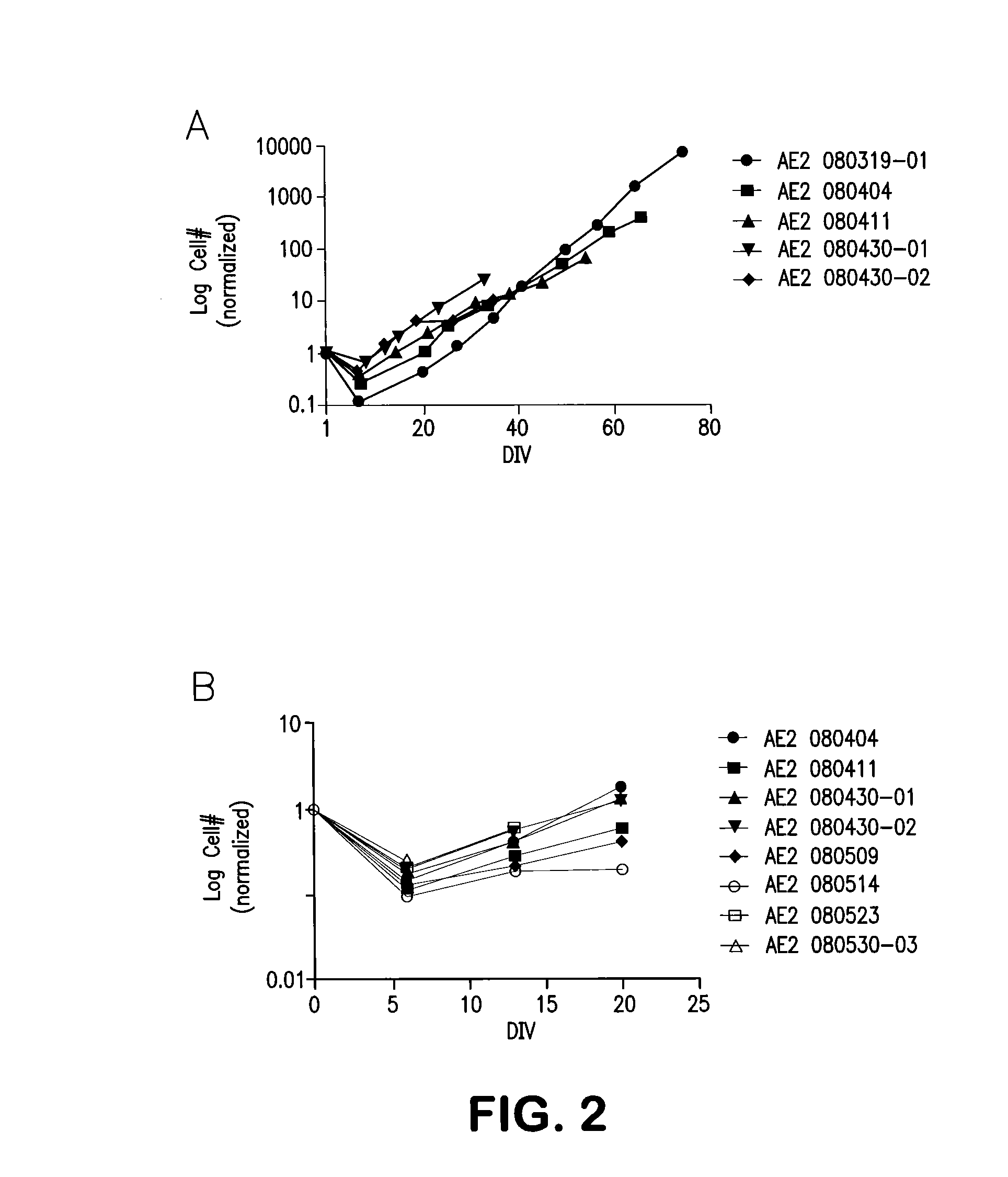 Methods and Compositions for Expanding, Identifying, Characterizing and Enhancing Potency of Mammalian-Derived Glial Restricted Progenitor Cells