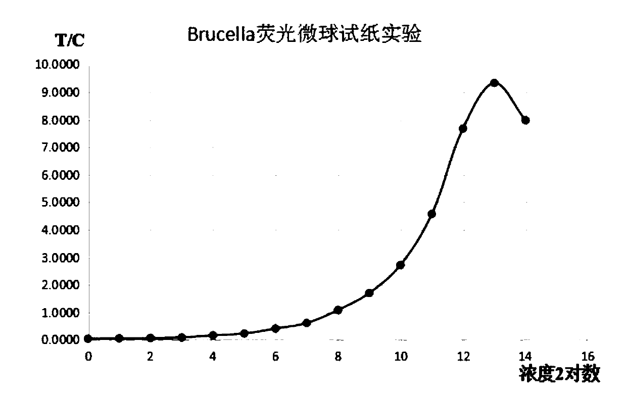 Brucella abortus virus fluorescent microsphere immunochromatography test paper and preparation method and detection method thereof